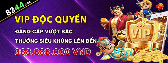 Hình ảnh quảng cáo của tk66 hiển thị nền tảng và các lợi ích