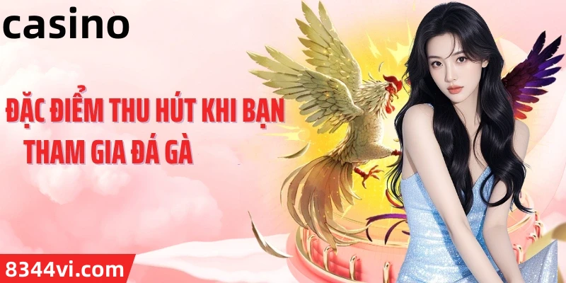 Hình ảnh quảng cáo của tk66 hiển thị nền tảng và các lợi ích