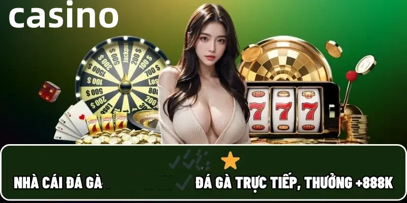 Hình ảnh quảng cáo của tk66 hiển thị nền tảng và các lợi ích